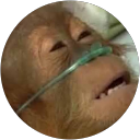 Leonardo Vargas profile picture